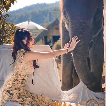3 Pok Maewang Jinxiang Gold Elephant Park Mae Wang 외부 사진