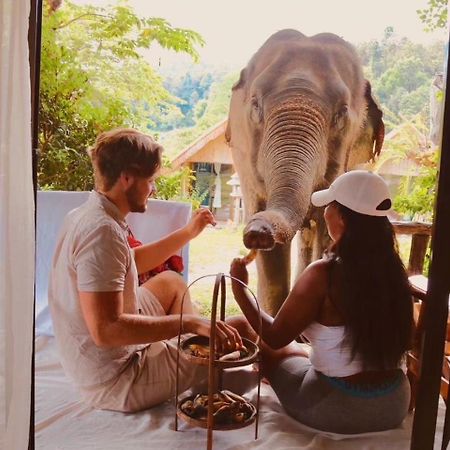 3 Pok Maewang Jinxiang Gold Elephant Park Mae Wang 외부 사진