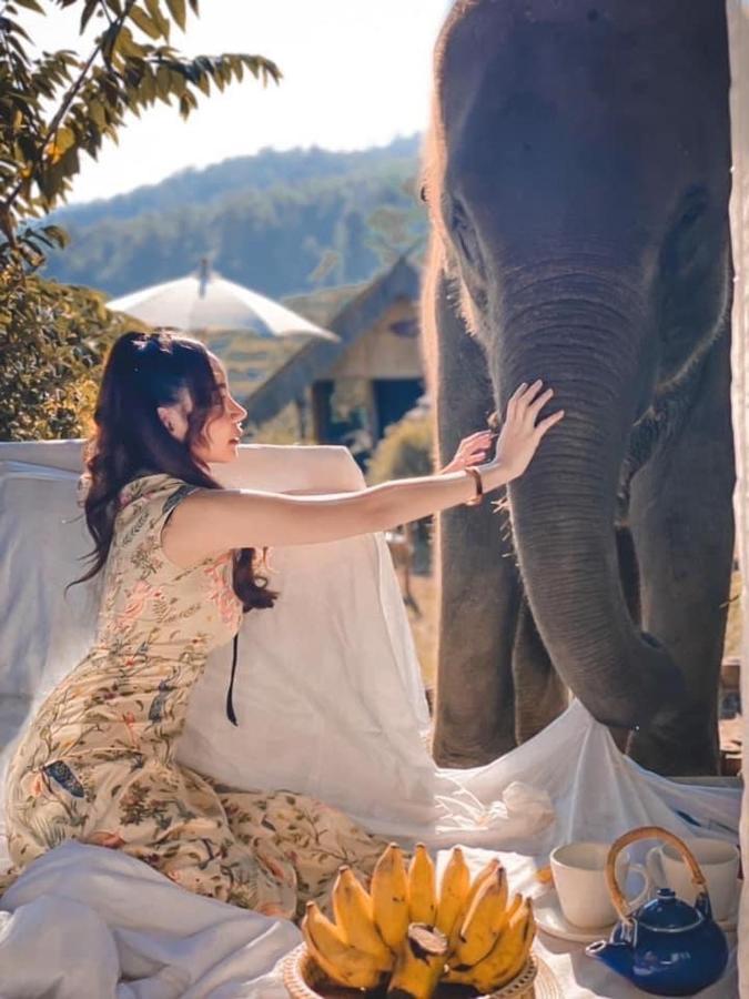 3 Pok Maewang Jinxiang Gold Elephant Park Mae Wang 외부 사진