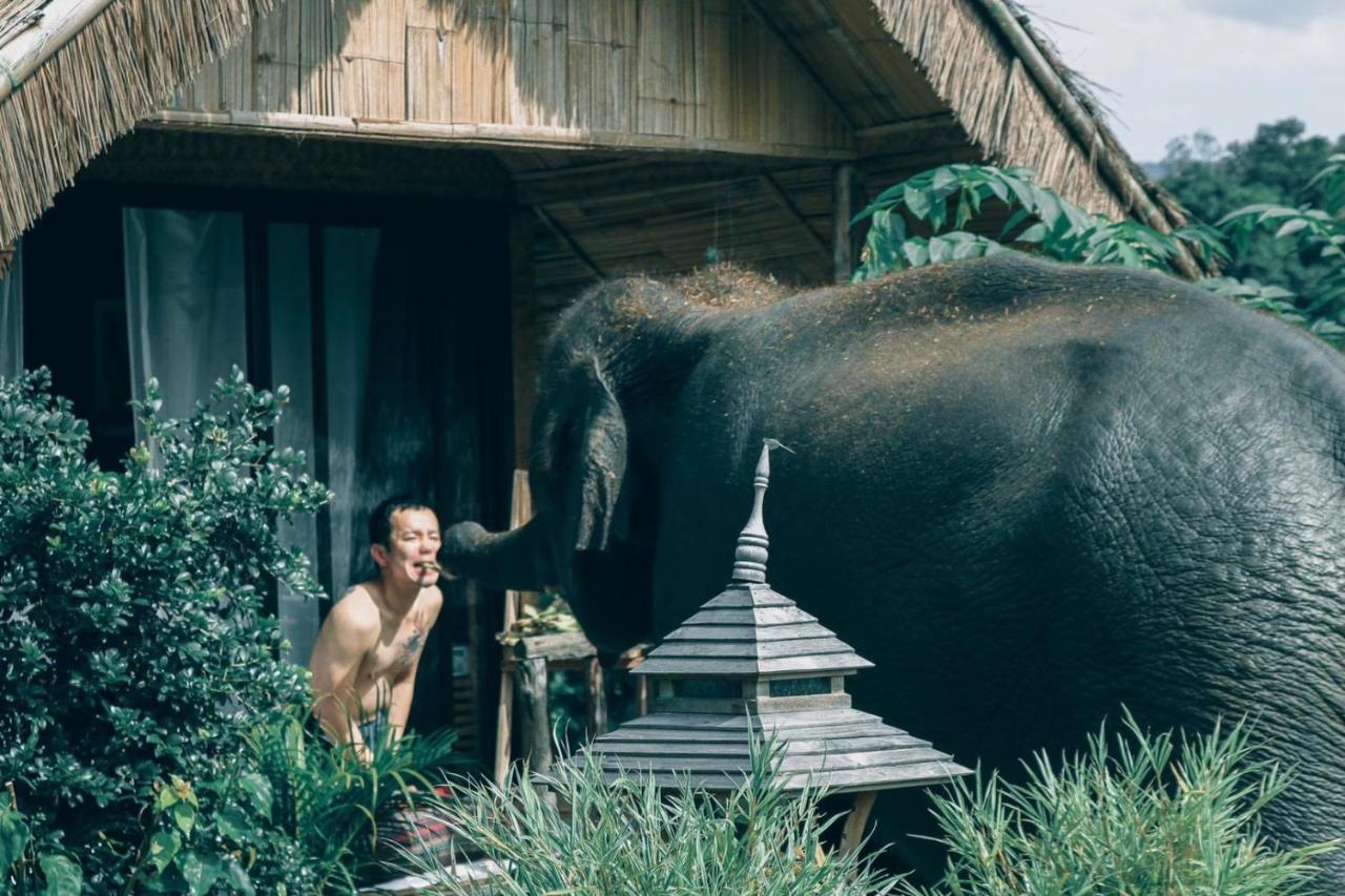 3 Pok Maewang Jinxiang Gold Elephant Park Mae Wang 외부 사진