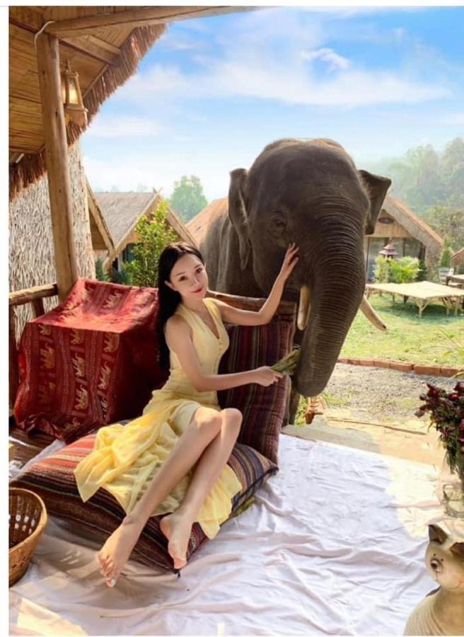 3 Pok Maewang Jinxiang Gold Elephant Park Mae Wang 외부 사진