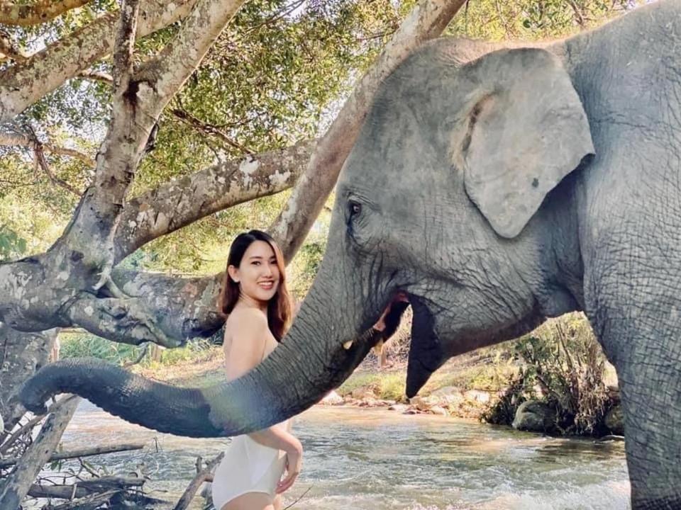 3 Pok Maewang Jinxiang Gold Elephant Park Mae Wang 외부 사진