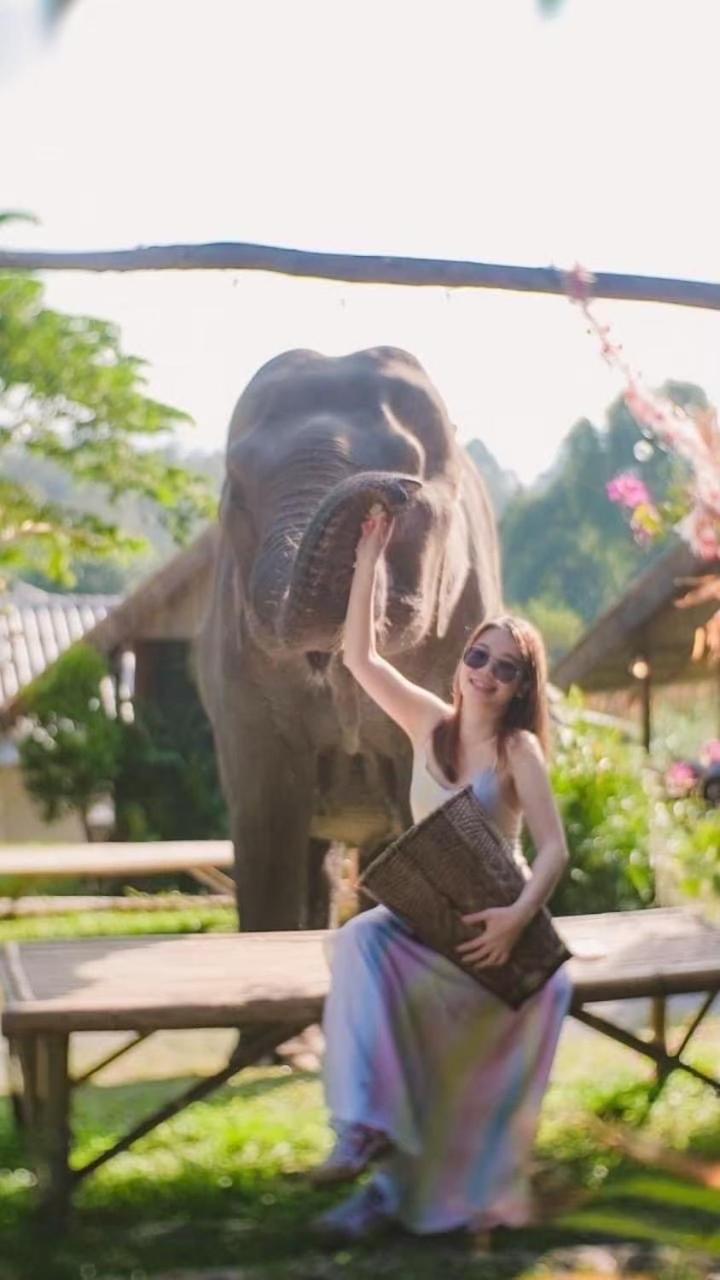 3 Pok Maewang Jinxiang Gold Elephant Park Mae Wang 외부 사진