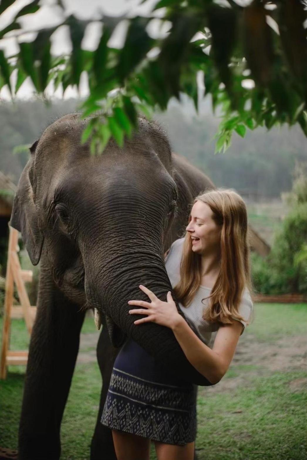 3 Pok Maewang Jinxiang Gold Elephant Park Mae Wang 외부 사진
