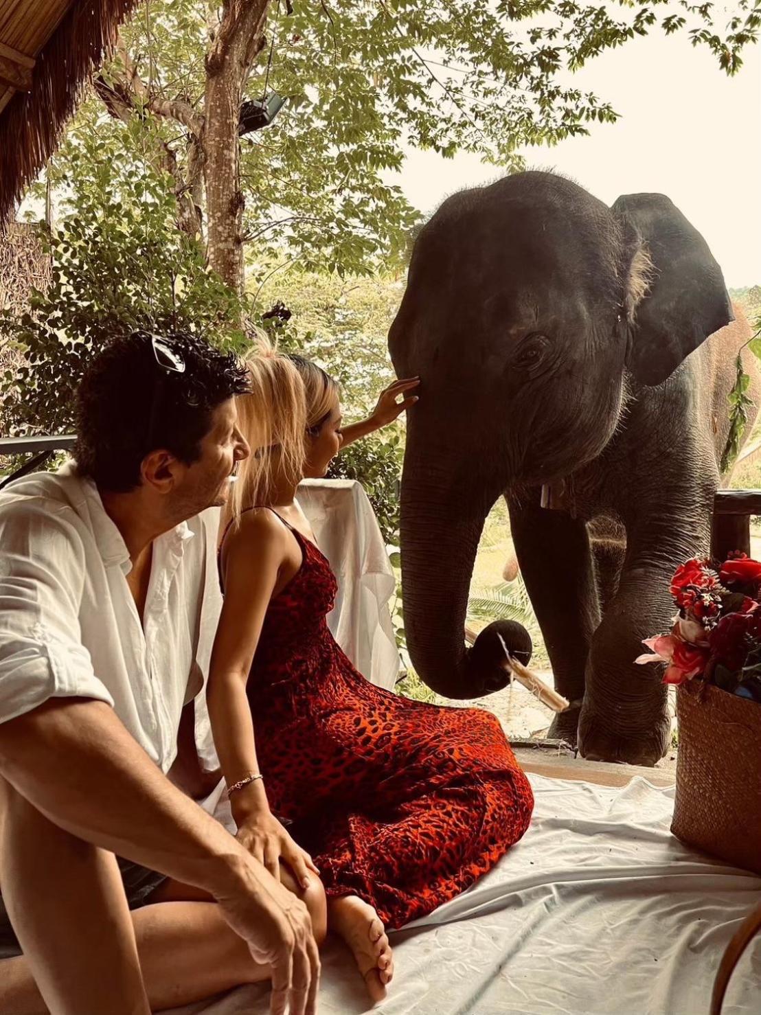 3 Pok Maewang Jinxiang Gold Elephant Park Mae Wang 외부 사진