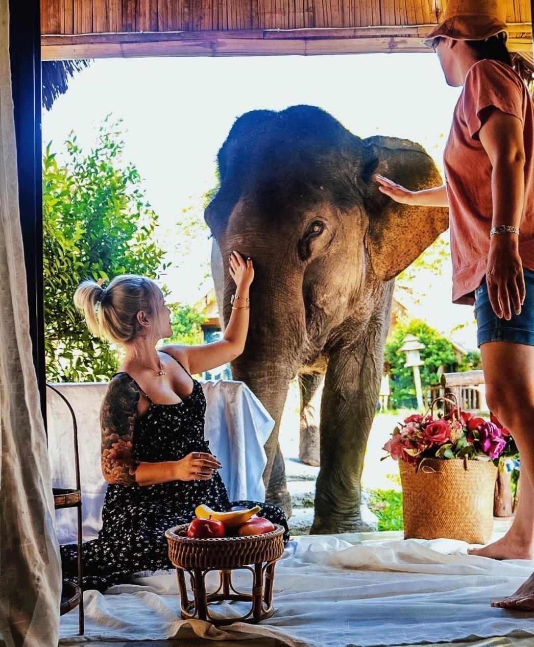 3 Pok Maewang Jinxiang Gold Elephant Park Mae Wang 외부 사진