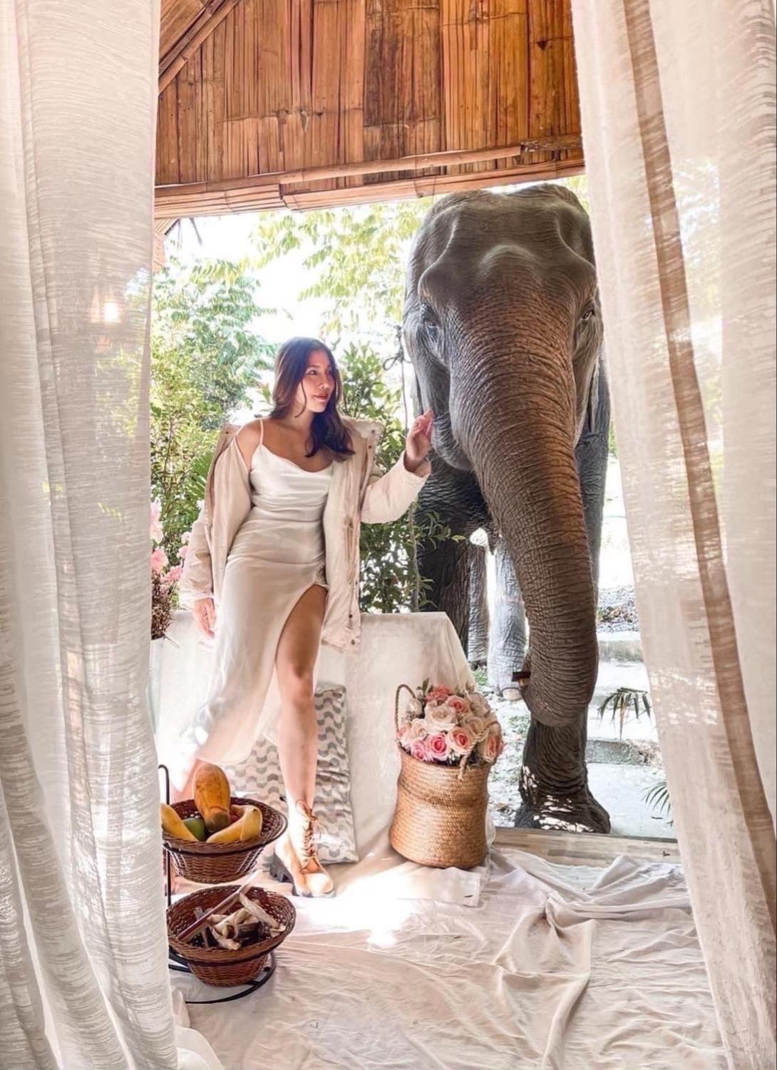 3 Pok Maewang Jinxiang Gold Elephant Park Mae Wang 외부 사진