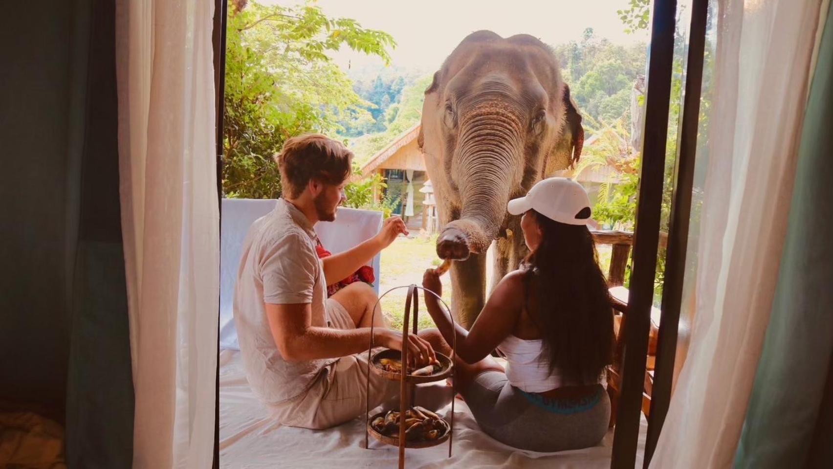 3 Pok Maewang Jinxiang Gold Elephant Park Mae Wang 외부 사진