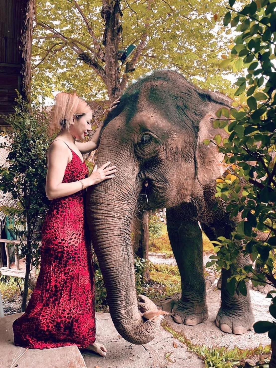 3 Pok Maewang Jinxiang Gold Elephant Park Mae Wang 외부 사진