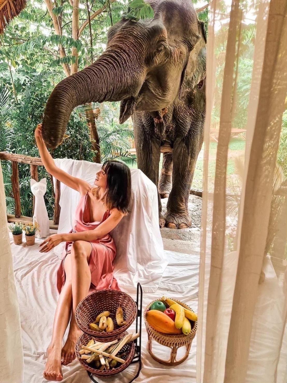 3 Pok Maewang Jinxiang Gold Elephant Park Mae Wang 외부 사진