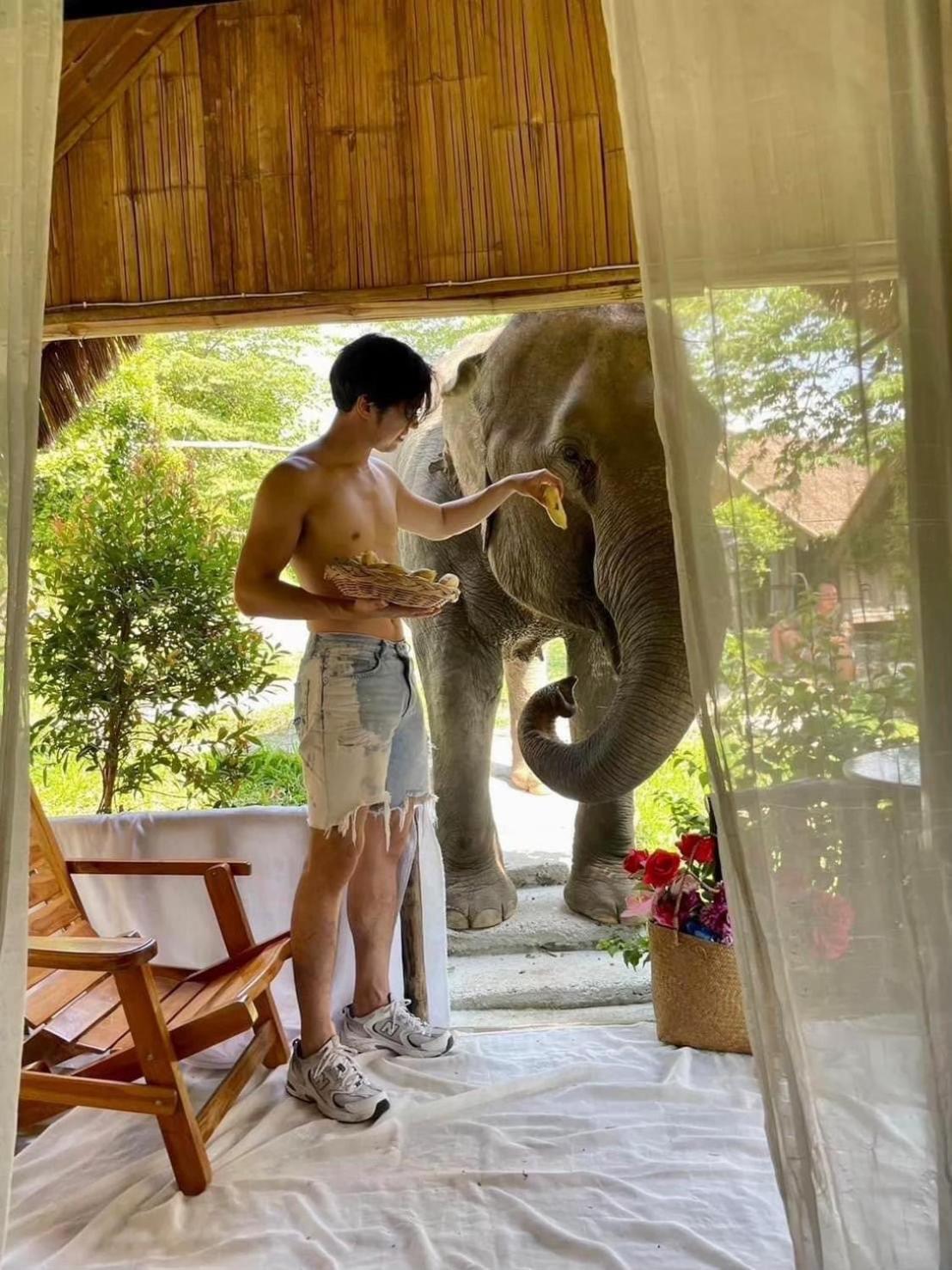 3 Pok Maewang Jinxiang Gold Elephant Park Mae Wang 외부 사진