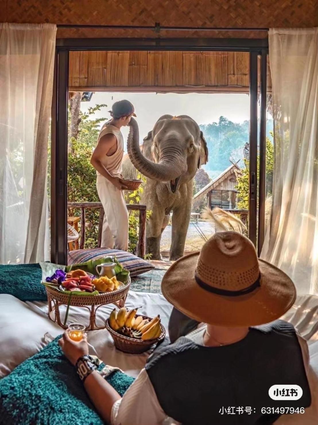 3 Pok Maewang Jinxiang Gold Elephant Park Mae Wang 외부 사진
