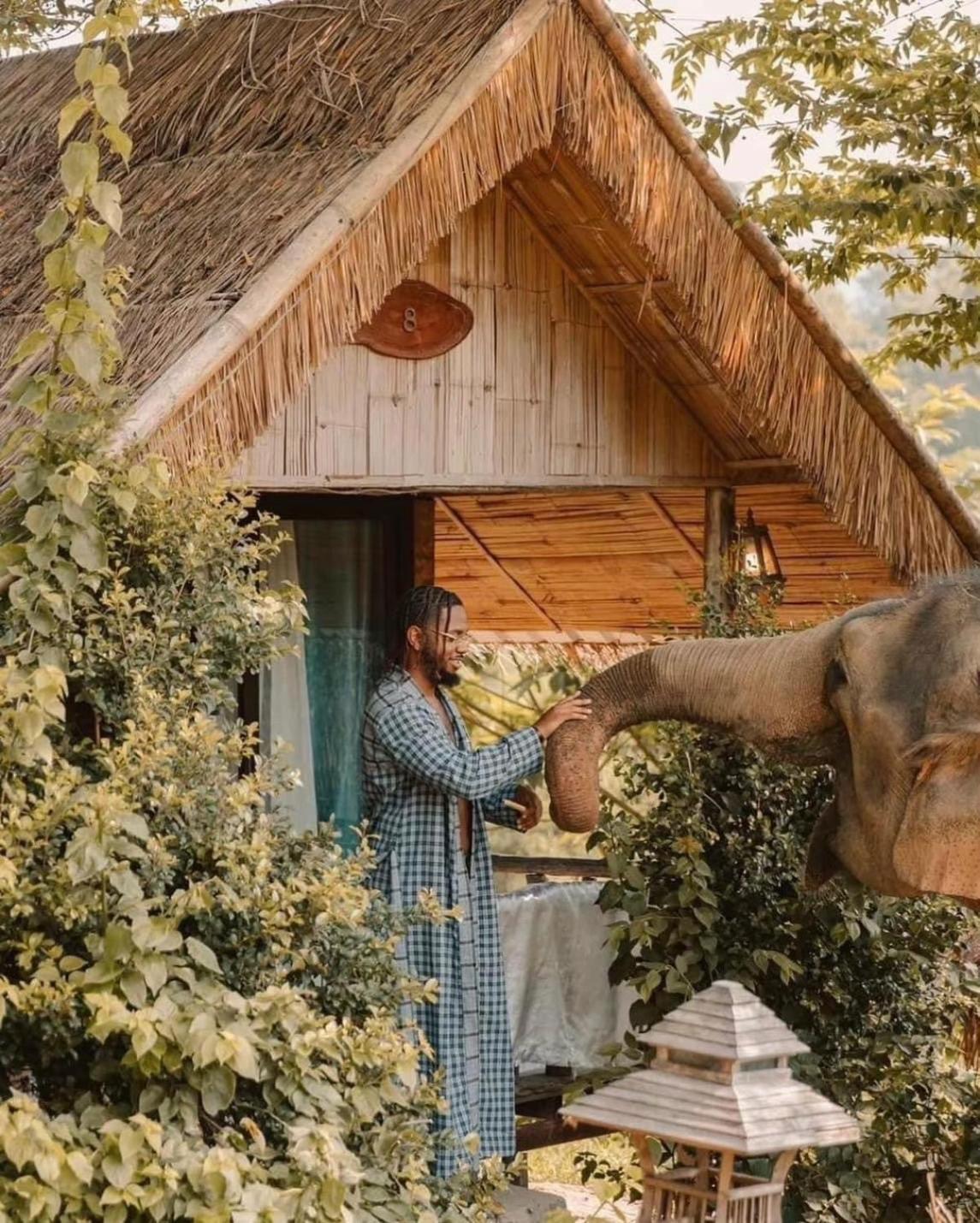 3 Pok Maewang Jinxiang Gold Elephant Park Mae Wang 외부 사진