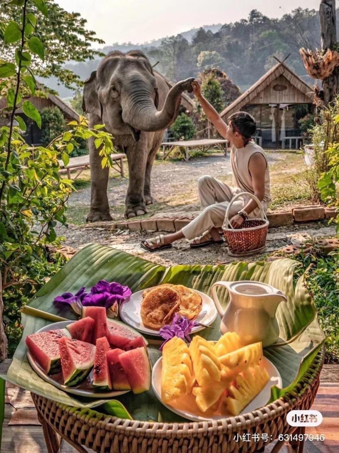 3 Pok Maewang Jinxiang Gold Elephant Park Mae Wang 외부 사진