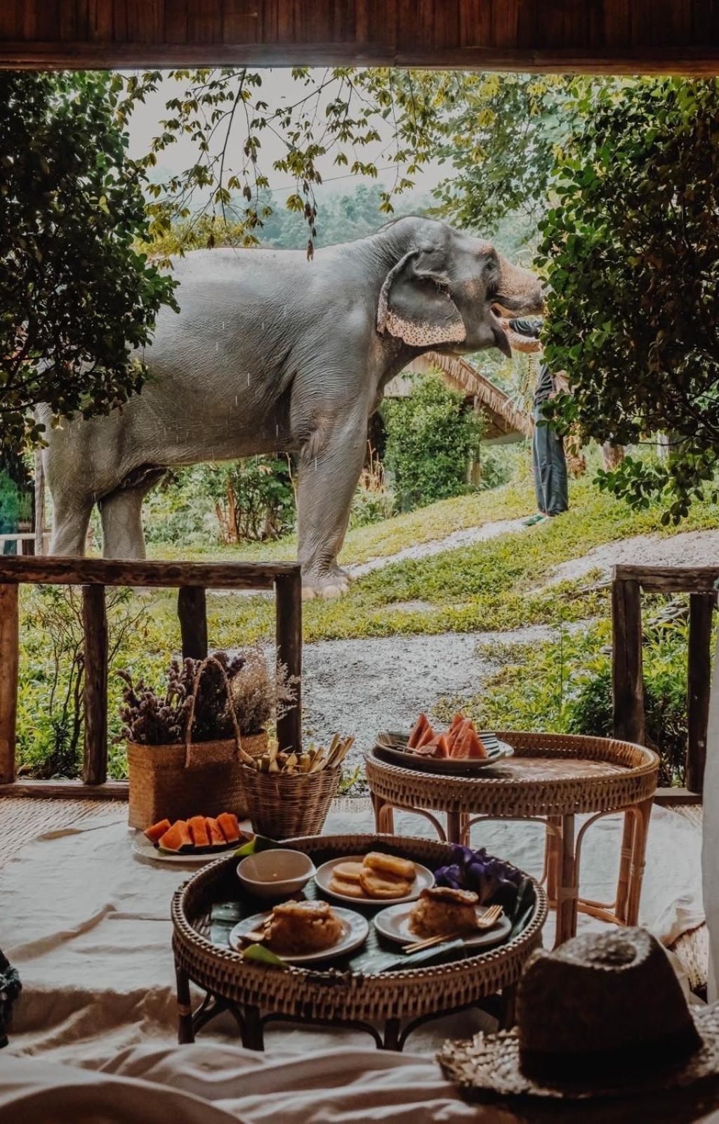 3 Pok Maewang Jinxiang Gold Elephant Park Mae Wang 외부 사진