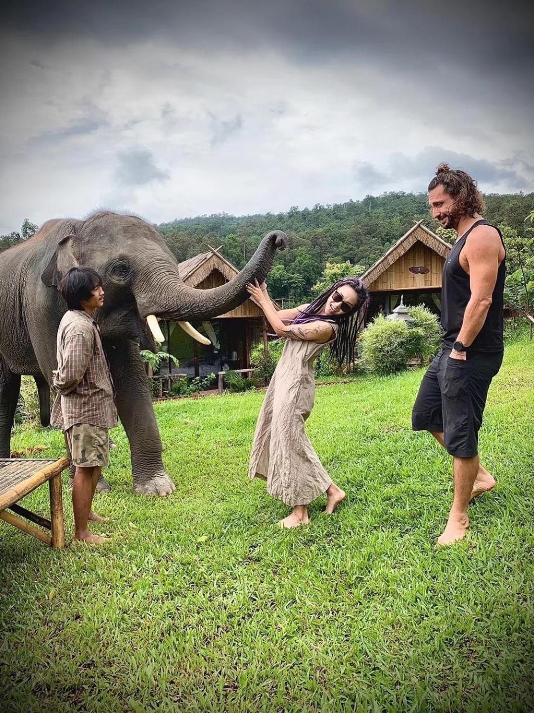 3 Pok Maewang Jinxiang Gold Elephant Park Mae Wang 외부 사진